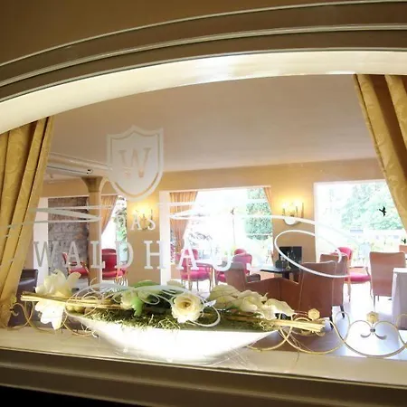 אכסניה Big Mountain *