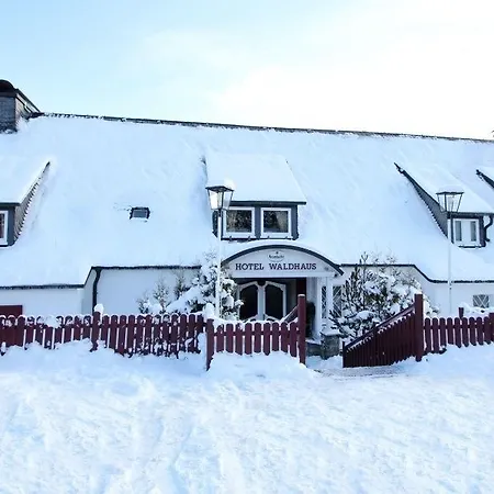 אכסניה Big Mountain *